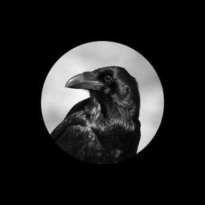 日本少妇裸体视频BCC
