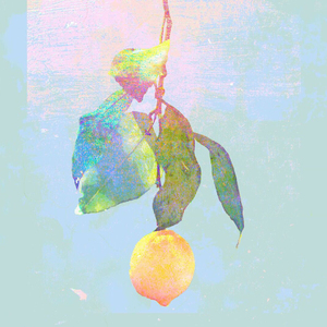 日本少妇裸体视频BCC
